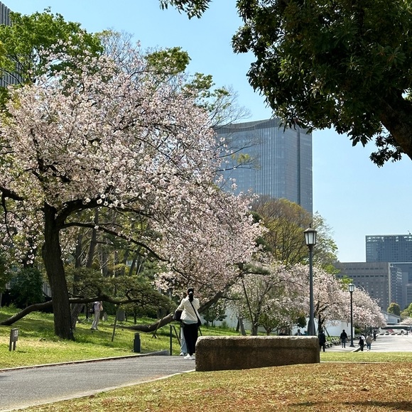 Meet your Posher, Patricia - Picture 4 of 9